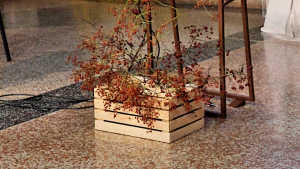 Obraz zawieraj�cy pod�o�e

Opis wygenerowany automatycznie