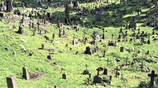 Obraz zawieraj�cy na wolnym powietrzu, trawa, cmentarz, gr�b

Opis wygenerowany automatycznie