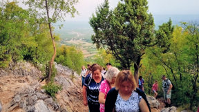 Obraz zawieraj�cy drzewo, zewn�trzne, osoba, ro�lina

Opis wygenerowany automatycznie