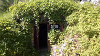 Obraz zawieraj�cy drzewo, zewn�trzne, ro�lina, las

Opis wygenerowany automatycznie