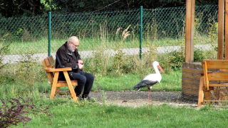 Obraz zawieraj�cy na wolnym powietrzu, trawa, drzewo, p�ot

Opis wygenerowany automatycznie