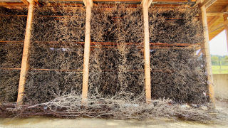 Obraz zawieraj�cy budynek, na wolnym powietrzu, siano, ziemia

Opis wygenerowany automatycznie