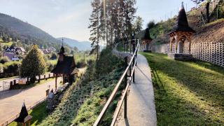 Obraz zawieraj�cy na wolnym powietrzu, drzewo, ro�lina, trawa

Opis wygenerowany automatycznie