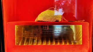 Obraz zawieraj�cy czerwony, akwarium, siedzenie, ��ty

Opis wygenerowany automatycznie