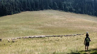 Obraz zawieraj�cy trawa, zewn�trzne, pole, otwarte

Opis wygenerowany automatycznie