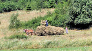 Obraz zawieraj�cy trawa, zewn�trzne, drzewo, pole

Opis wygenerowany automatycznie