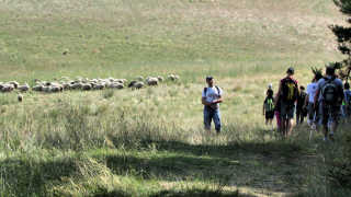 Obraz zawieraj�cy trawa, zewn�trzne, pole, poro�ni�te traw�

Opis wygenerowany automatycznie