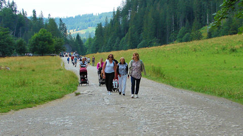 Obraz zawieraj�cy na wolnym powietrzu, trawa, drzewo, ludzie

Opis wygenerowany automatycznie