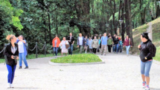 Obraz zawieraj�cy drzewo, zewn�trzne, pod�o�e, osoba

Opis wygenerowany automatycznie