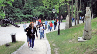 Obraz zawieraj�cy drzewo, trawa, zewn�trzne, chodzenie

Opis wygenerowany automatycznie