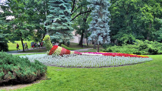 Obraz zawieraj�cy trawa, drzewo, zewn�trzne, ogr�d

Opis wygenerowany automatycznie