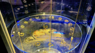 Obraz zawieraj�cy wewn�trz, szk�o

Opis wygenerowany automatycznie