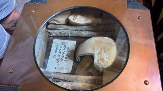 Obraz zawieraj�cy wewn�trz, osoba, kask, posi�ek

Opis wygenerowany automatycznie