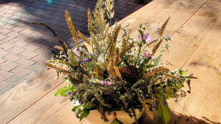 Obraz zawieraj�cy ro�lina

Opis wygenerowany automatycznie