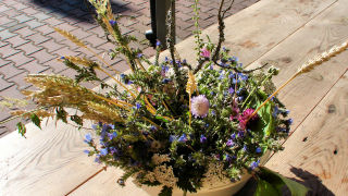 Obraz zawieraj�cy pod�o�e, ro�lina

Opis wygenerowany automatycznie