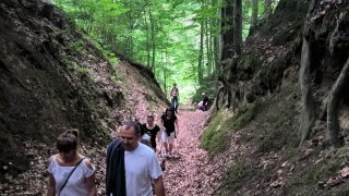 Obraz zawieraj�cy zewn�trzne, drzewo, �cie�ka, �lad

Opis wygenerowany automatycznie