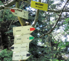 Obraz zawieraj�cy tekst, drzewo, ro�lina

Opis wygenerowany automatycznie