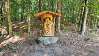 Obraz zawieraj�cy drzewo, na wolnym powietrzu, ziemia, las

Zawarto�� wygenerowana przez AI mo�e by� niepoprawna.