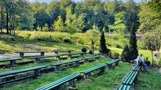 Obraz zawieraj�cy trawa, drzewo, na wolnym powietrzu, �awka

Zawarto�� wygenerowana przez AI mo�e by� niepoprawna.