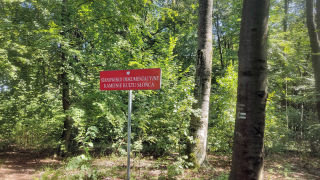 Obraz zawieraj�cy na wolnym powietrzu, ro�lina, drzewo, znak

Zawarto�� wygenerowana przez AI mo�e by� niepoprawna.