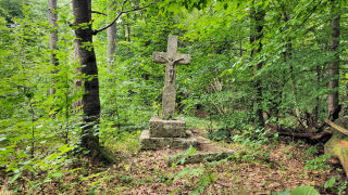 Obraz zawieraj�cy na wolnym powietrzu, gr�b, teren le�ny, trawa

Zawarto�� wygenerowana przez AI mo�e by� niepoprawna.