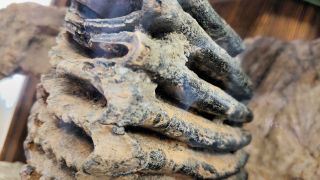 Obraz zawieraj�cy statua, rze�ba, Artefakt, Materia� naturalny

Zawarto�� wygenerowana przez AI mo�e by� niepoprawna.