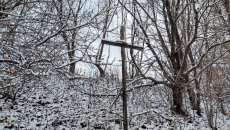 Obraz zawieraj�cy drzewo, zewn�trzne, �nieg, ro�lina

Opis wygenerowany automatycznie