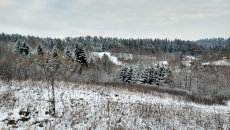 Obraz zawieraj�cy zewn�trzne, trawa, pole

Opis wygenerowany automatycznie